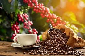 "Biji kopi arabika specialty dari Kintamani Bali dengan proses roasting medium"
